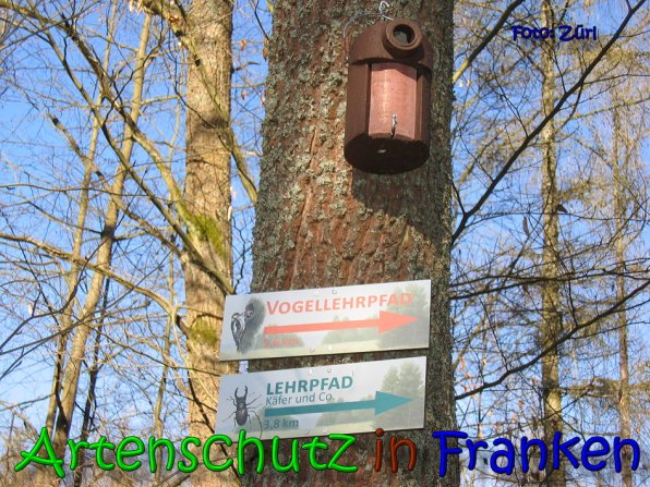 Copyright AiS Zürl Bild zum Eintrag (64240-160)