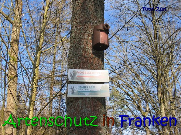 Copyright AiS Zürl Bild zum Eintrag (64241-160)