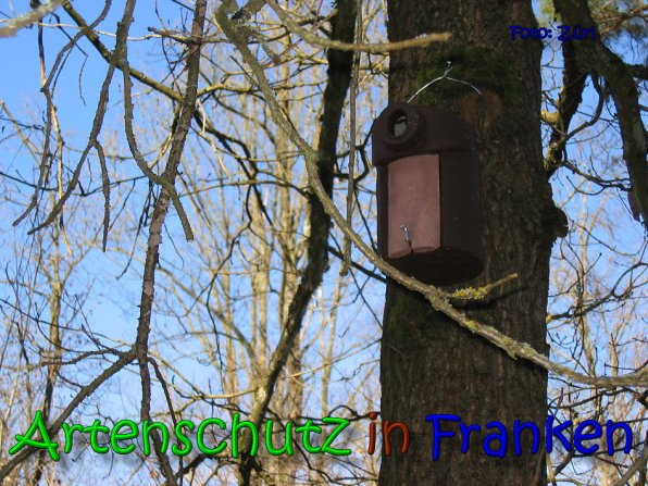 Copyright AiS Zürl Bild zum Eintrag (64242-160)