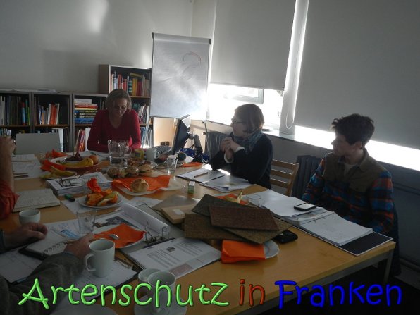 Copyright AiS Köhler Bild zum Eintrag (64245-160)