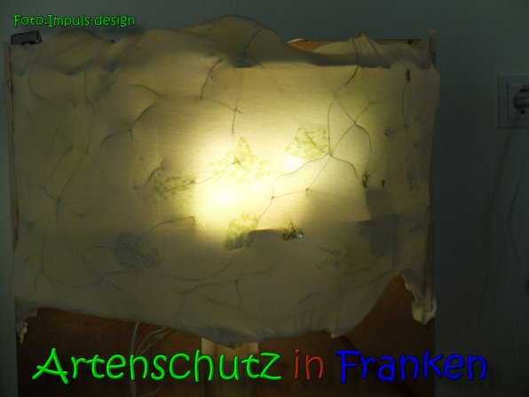 Copyright AiS impuls-design Bild zum Eintrag (64715-160)