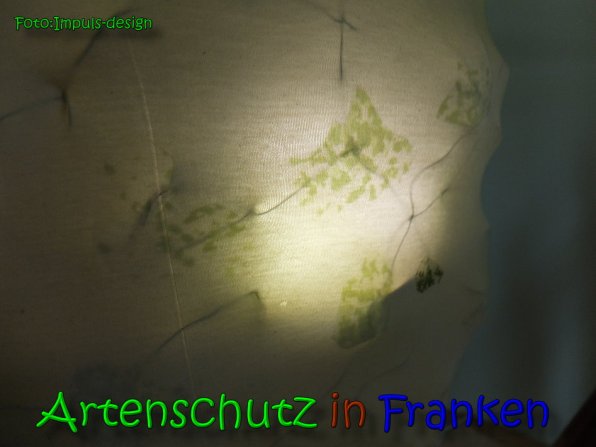 Copyright AiS impuls-design Bild zum Eintrag (64716-160)