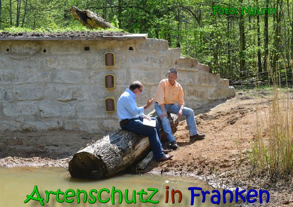 Copyright AiS Anny Maurer Bild zum Eintrag (65618-160)