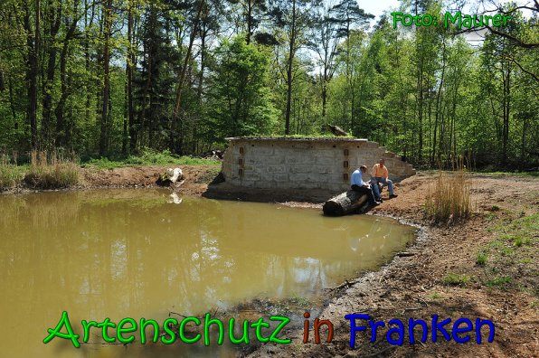 Copyright AiS Anny Maurer Bild zum Eintrag (65620-160)