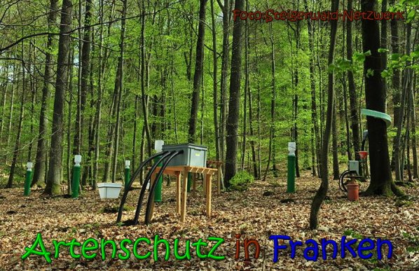 Copyright AiS Netzwerk Steigerwald Bild zum Eintrag (65658-160)