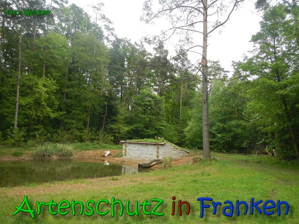 Copyright AiS Klaus Weidner Bild zum Eintrag (65928-160)