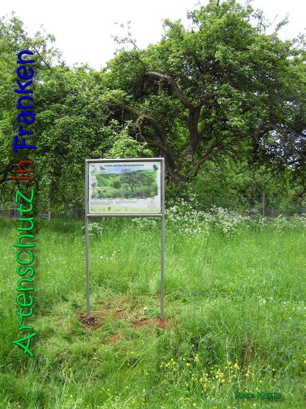 Copyright AiS Gerhard Kunze Bild zum Eintrag (66204-160)