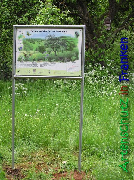Copyright AiS Gerhard Kunze Bild zum Eintrag (66205-160)