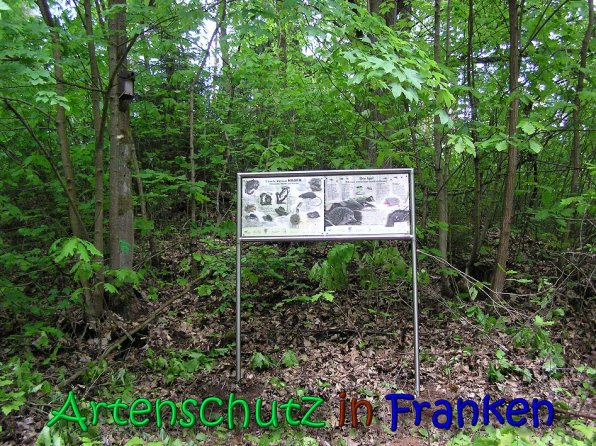 Copyright AiS Gerhard Kunze Bild zum Eintrag (66206-160)