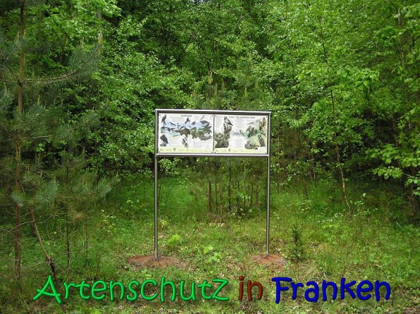 Copyright AiS Gerhard Kunze Bild zum Eintrag (66207-160)