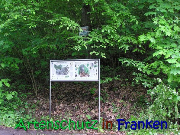 Copyright AiS Gerhard Kunze Bild zum Eintrag (66208-160)