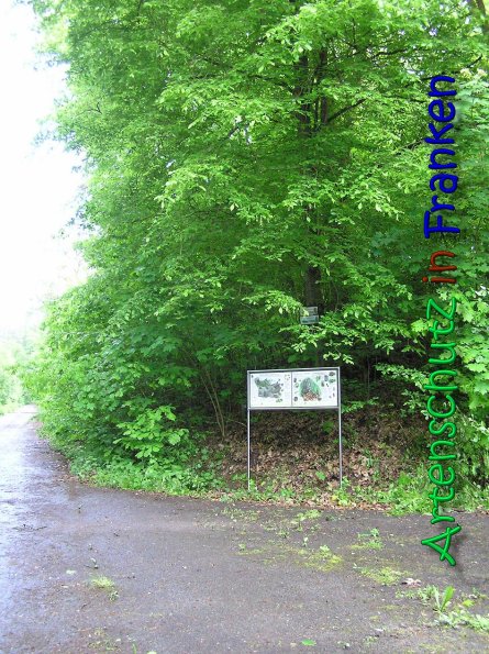 Copyright AiS Gerhard Kunze Bild zum Eintrag (66210-160)