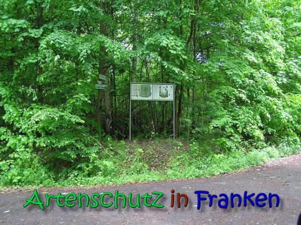 Copyright AiS Gerhard Kunze Bild zum Eintrag (66211-160)