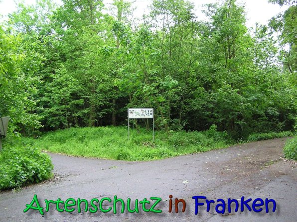 Copyright AiS Gerhard Kunze Bild zum Eintrag (66212-160)