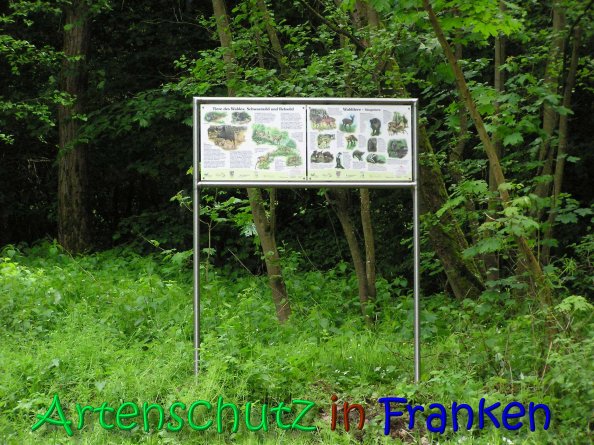 Copyright AiS Gerhard Kunze Bild zum Eintrag (66213-160)