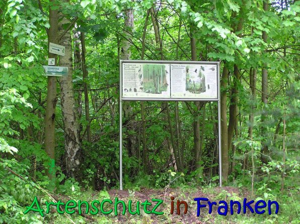 Copyright AiS Gerhard Kunze Bild zum Eintrag (66214-160)