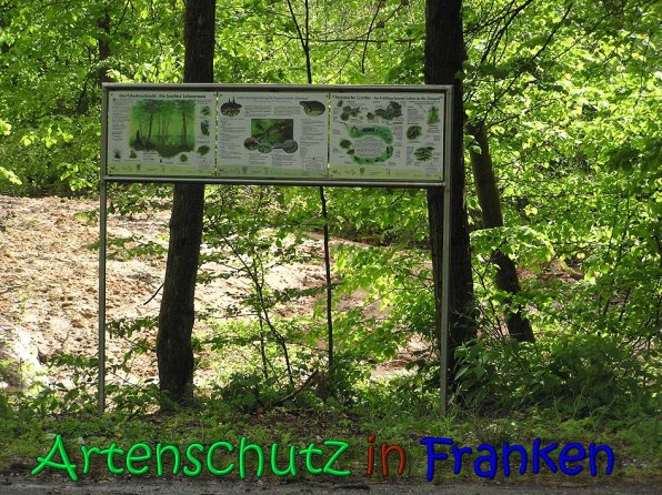 Copyright AiS Gerhard Kunze Bild zum Eintrag (66215-160)