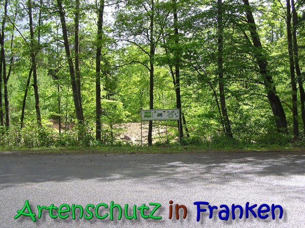 Copyright AiS Gerhard Kunze Bild zum Eintrag (66216-160)