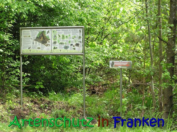 Copyright AiS Gerhard Kunze Bild zum Eintrag (66221-160)