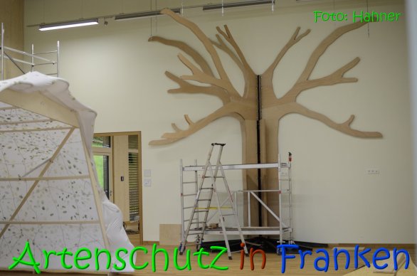 Copyright AiS Tobias Hahner Bild zum Eintrag (68984-160)