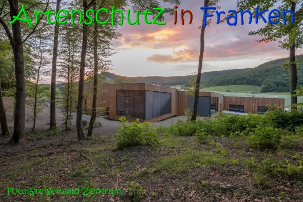 Copyright AiS Steigerwald Zentrum Bild zum Eintrag (68986-160)