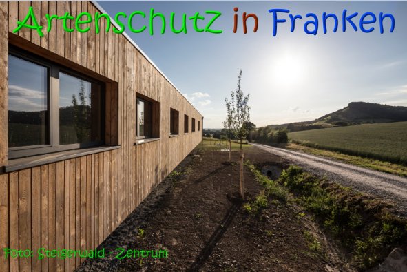 Copyright AiS Steigerwald Zentrum Bild zum Eintrag (68987-160)