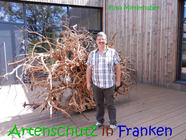 Copyright AiS Walter Mitterhuber Bild zum Eintrag (69058-160)