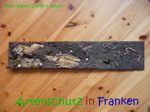 Copyright AiS Hauck Bild zum Eintrag (69108-160)
