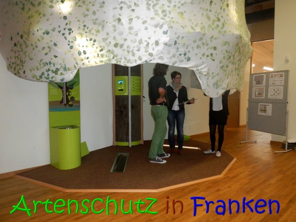Copyright AiS Köhler Bild zum Eintrag (69167-160)