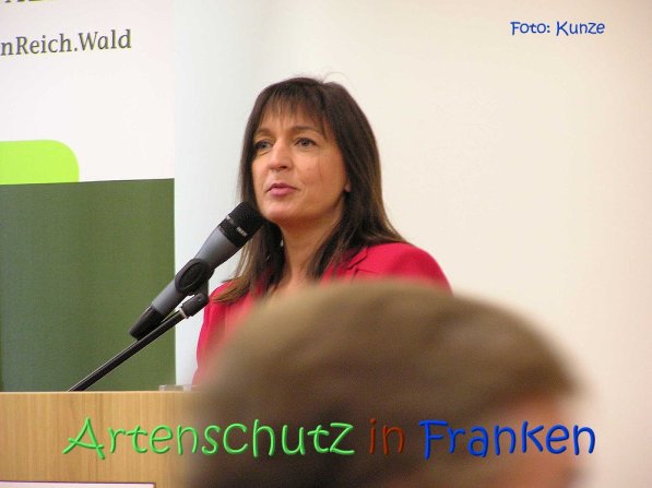 Copyright AiS Gerhard Kunze Bild zum Eintrag (69265-160)