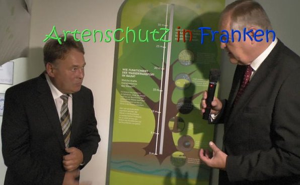 Copyright AiS Leisgang Bild zum Eintrag (69278-160)