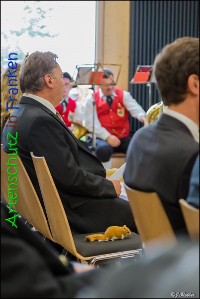 Copyright AiS Johannes Rother Bild zum Eintrag (69401-160)