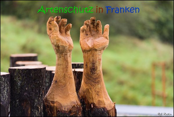 Copyright AiS Johannes Rother Bild zum Eintrag (69406-160)