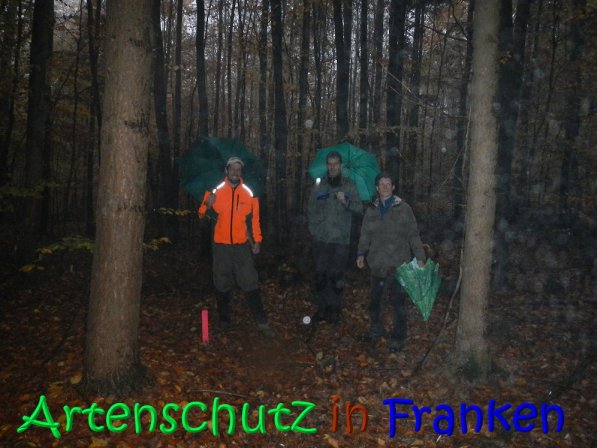 Copyright AiS Köhler Bild zum Eintrag (70584-160)