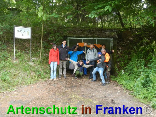 Bild zum Eintrag (75045-160)