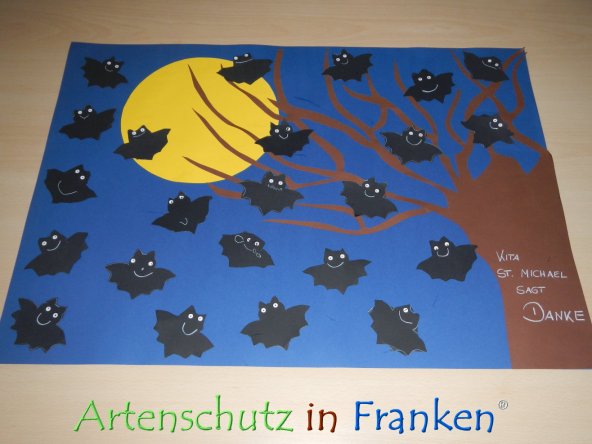 Bild zum Eintrag (78800-160)