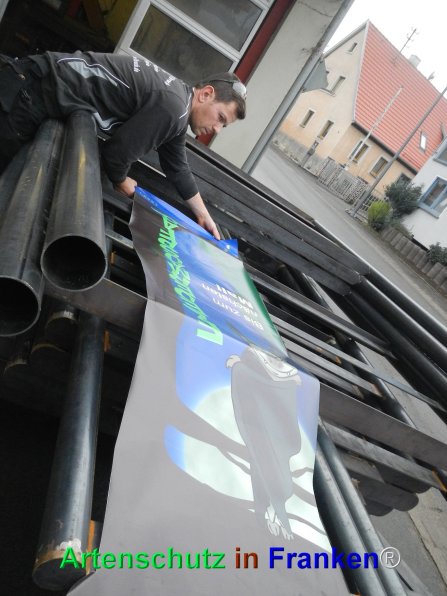 © Artenschutz in Franken® Bild zum Eintrag (79543-160)