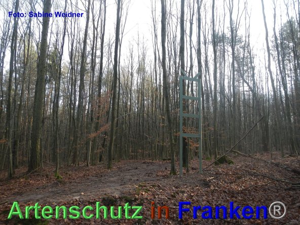 Bild zum Eintrag (80476-160)