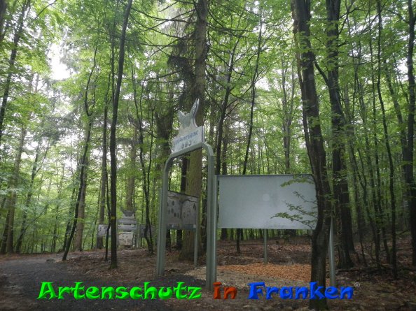 Bild zum Eintrag (84131-160)