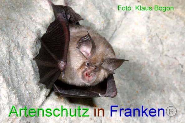 Copyright AiF Klaus Bogon Bild zum Eintrag (84180-160)