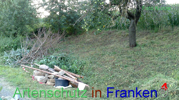 Copyright AiF Gerhard Kunze Bild zum Eintrag (95664-160)