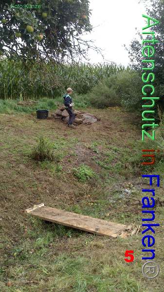 Copyright AiF Gerhard Kunze Bild zum Eintrag (95665-160)