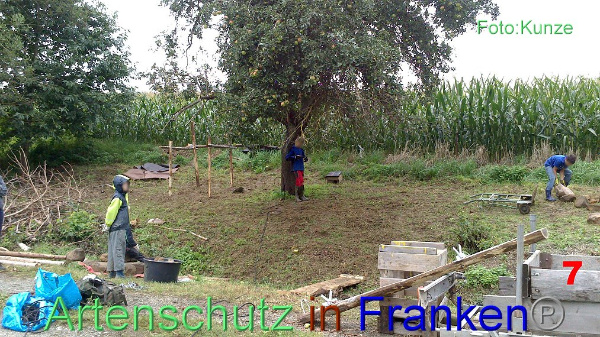 Copyright AiF Gerhard Kunze Bild zum Eintrag (95667-160)