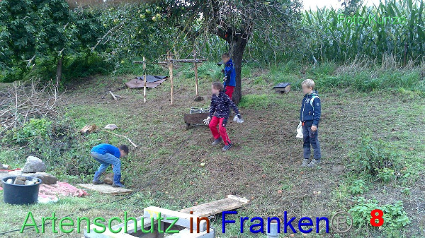 Copyright AiF Gerhard Kunze Bild zum Eintrag (95668-160)
