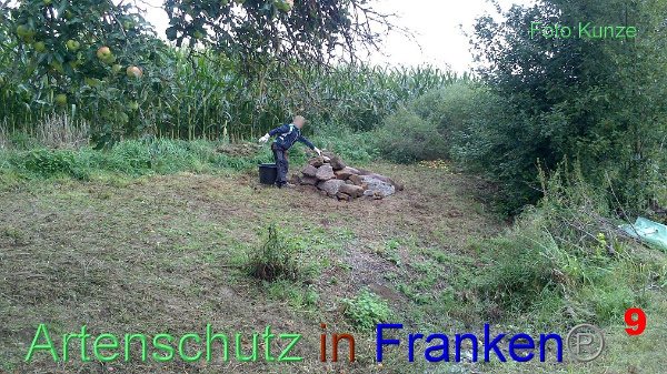 Copyright AiF Gerhard Kunze Bild zum Eintrag (95669-160)