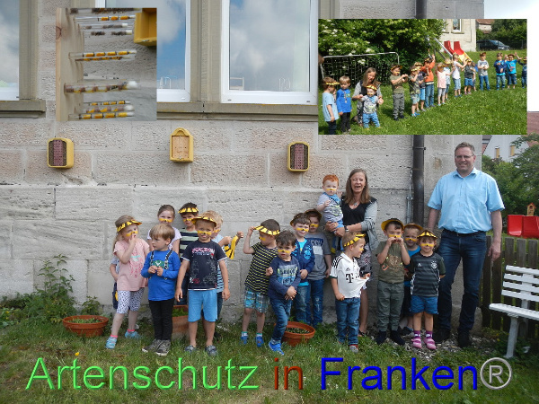 Bild zum Eintrag (100046-160)