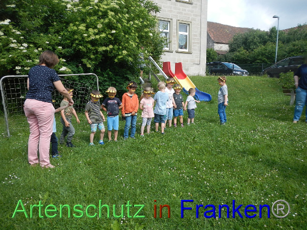 Bild zum Eintrag (100047-160)