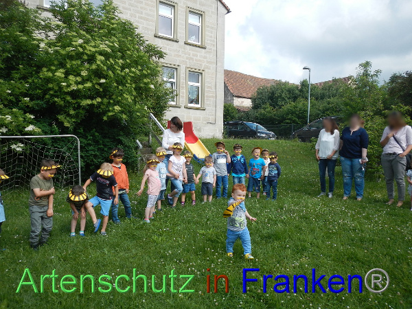 Bild zum Eintrag (100049-160)