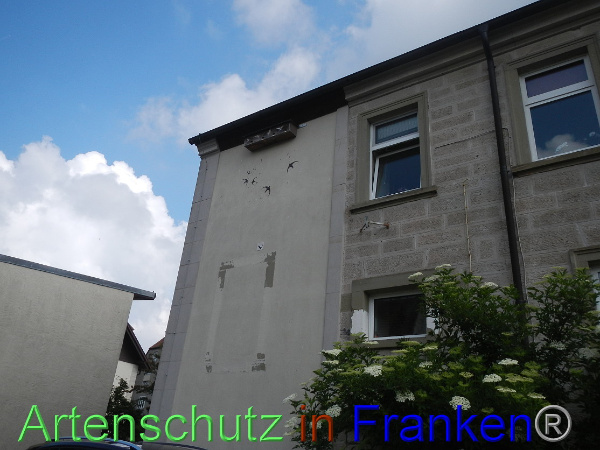 Bild zum Eintrag (100070-160)