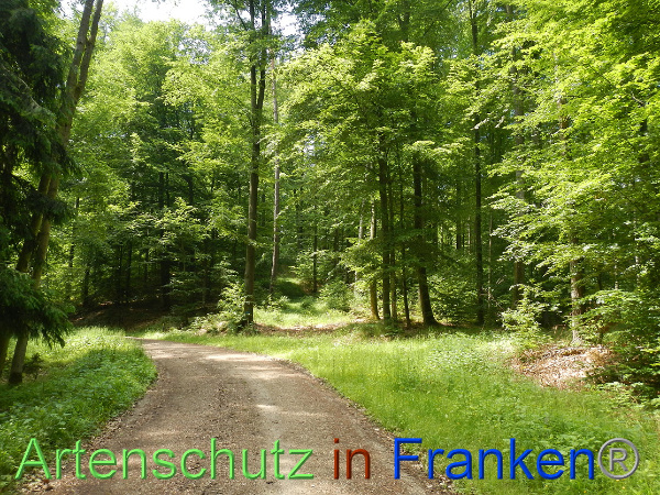 Bild zum Eintrag (100089-160)